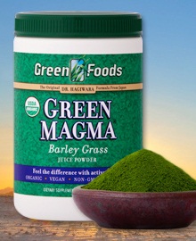 green magma vegetarian juice
